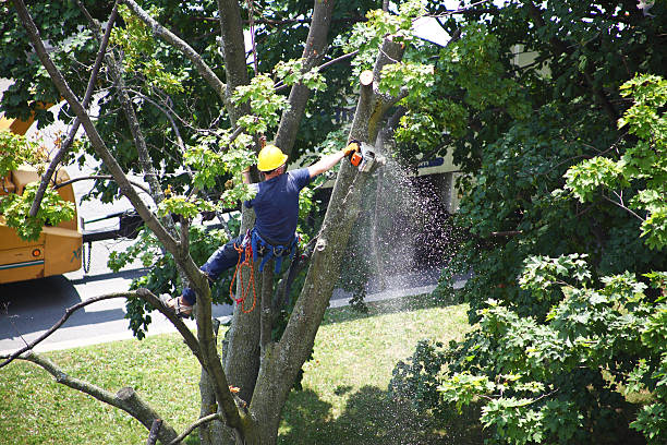 Lawn Irrigation Installation and Maintenance in Nashville, TN